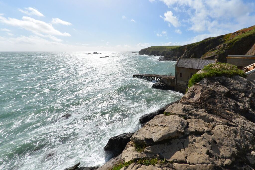 Lizard Point